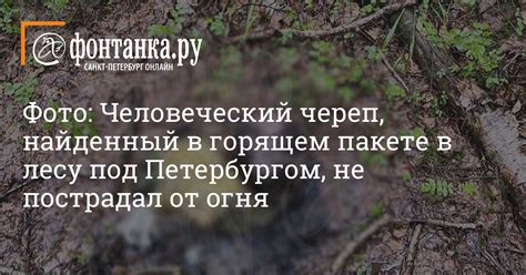 Методы обнаружения деревни