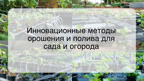 Методы полива и орошения