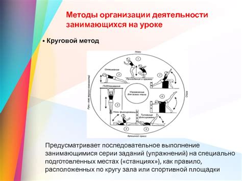 Методы приручения и тренировки