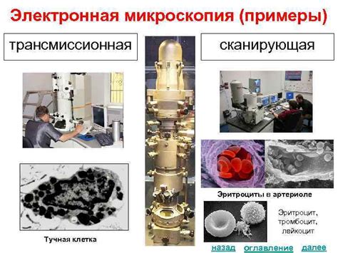 Методы сканирующей электронной микроскопии