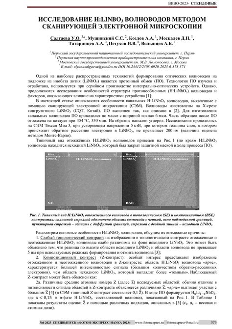 Метод сканирующей электронной микроскопии для обезвреживания ионов тяжелых металлов