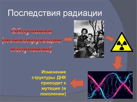 Механизмы аккумуляции радиации металлами