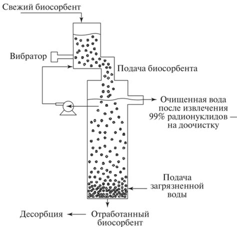 Механизмы действия тяжелых металлов