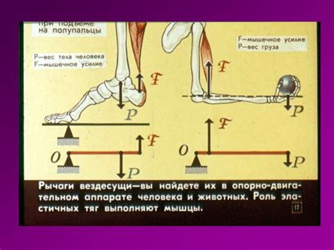 Механизмы и их использование