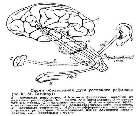 Механизмы образования связи