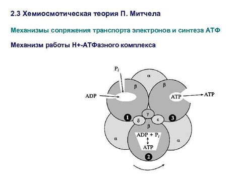 Механизмы передачи электронов