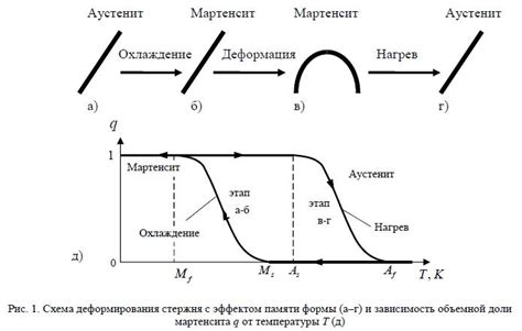 Механизмы работы эффекта памяти формы