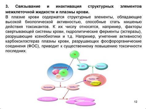 Механизмы токсического действия карбонилов