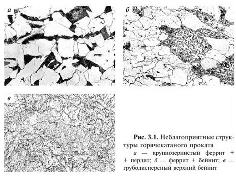 Механизмы формирования зерностойкой структуры