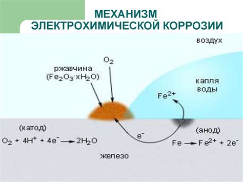 Механизм биохимической коррозии