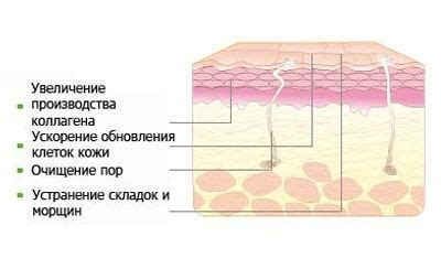 Механизм воздействия кислот на металлическую поверхность