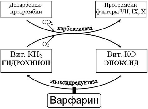 Механизм действия карбида