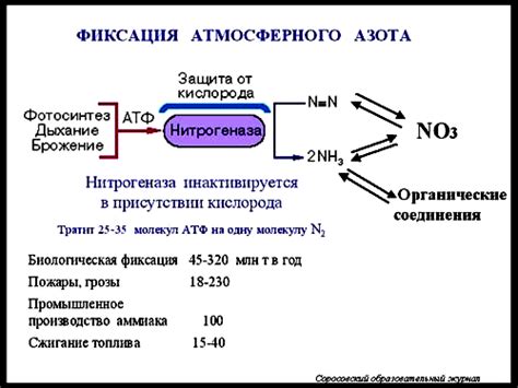 Механизм нереактивности азота