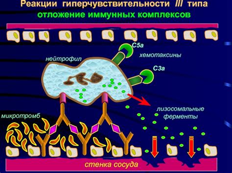 Механизм образования комплексов