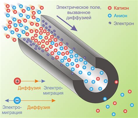 Механизм притяжения ионов металлов