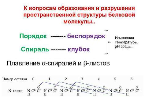 Механизм разрушения пространственной структуры белка