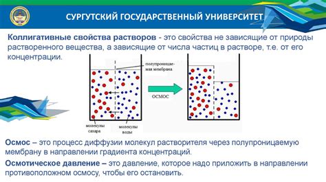 Механизм растворения