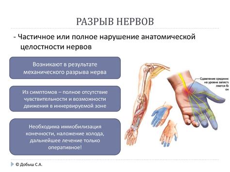 Механические повреждения и их воздействие