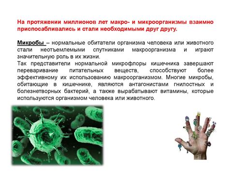 Микробиологическая ремедиация: роль микроорганизмов в очистке природных систем от тяжелых металлов