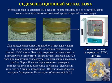 Микробиологическое содержание