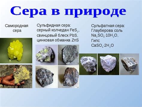 Микробные формы серы и их роль в получении меди