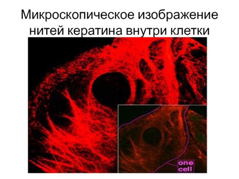 Микроскопическое изучение и электронная структура