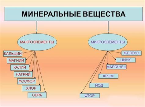 Микроэлементы и макроэлементы: разница и значение