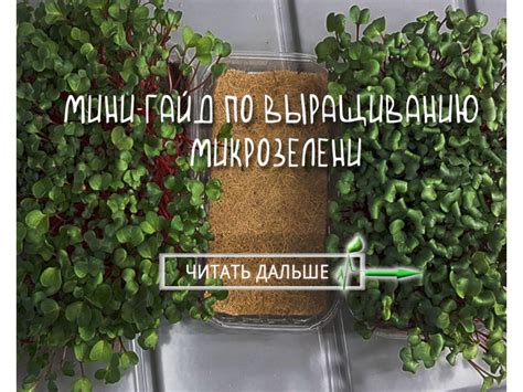 Мини-гайд по уникальным породам