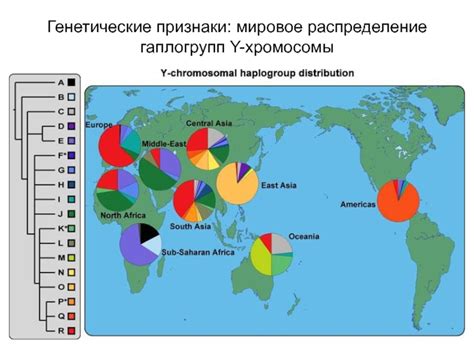 Мировое распределение