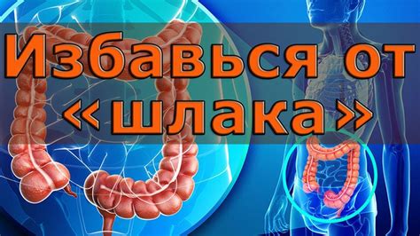 Мифы и реальность: очищение организма от металла