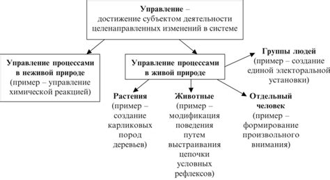 Многообразие областей применения