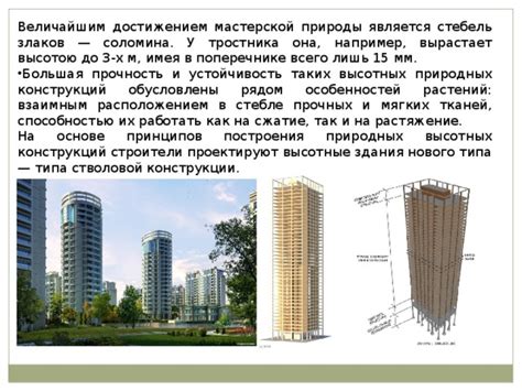 Модуль и устойчивость конструкций: почему так важен