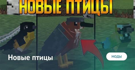 Мод roost для Minecraft: возрождение птиц в игре