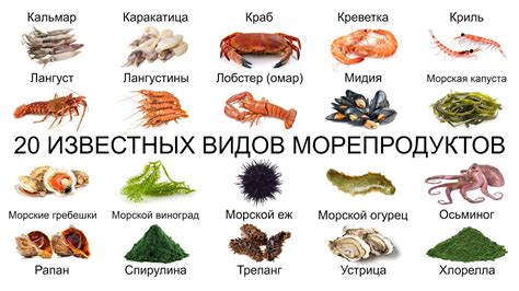 Морские глубины: самые сытные морепродукты для получения полного пузыря