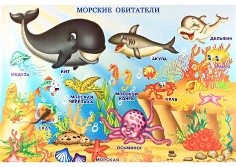 Морские обитатели