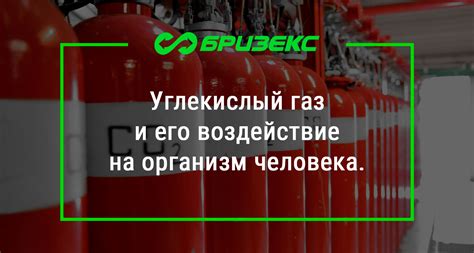 Мышиный газ и его отрицательное воздействие