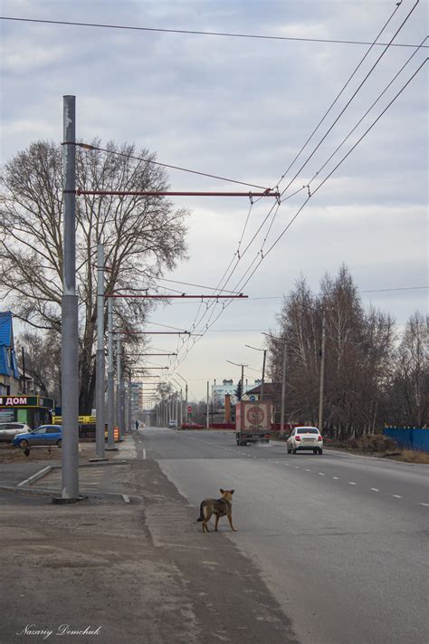 Надежный и быстрый транспорт по Ленинск-Кузнецкому