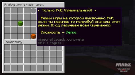 Наслаждение PvE-игрой в Майнкрафте!