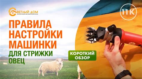 Настройка и запуск процесса стрижки