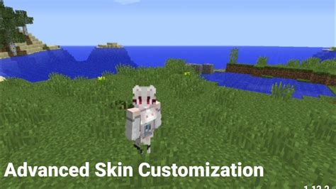 Настройка мода "Advanced Skin Customization"