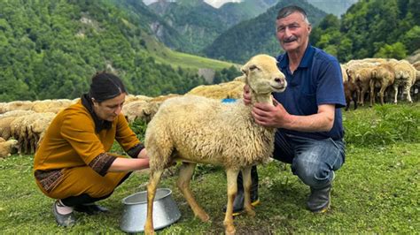 Натуральная пища для барашков