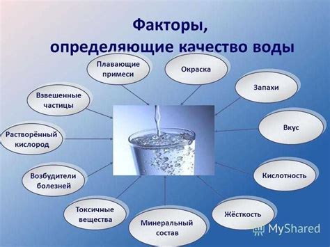 Натуральные методы очистки воды