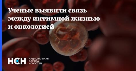 Научные исследования и связь числа 7 с интимной жизнью