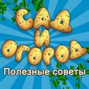 Начало игры и полезные советы