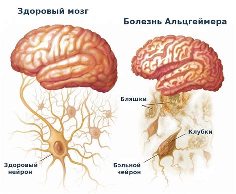 Начальные признаки и причины проблемы