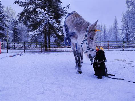 Наш клуб расположен в прекрасном месте