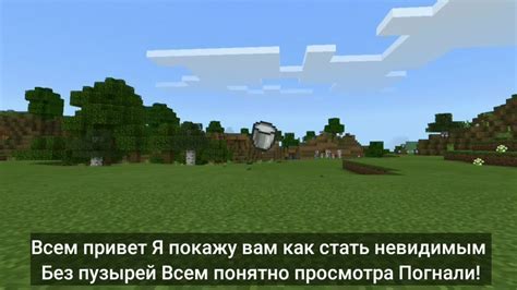 Невидимость без частиц в Minecraft