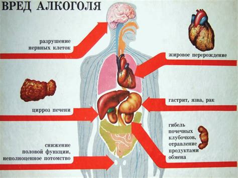 Негативные последствия для здоровья человека