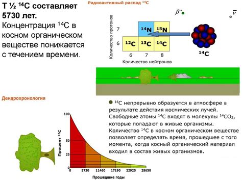 Недостаток стабильных изотопов