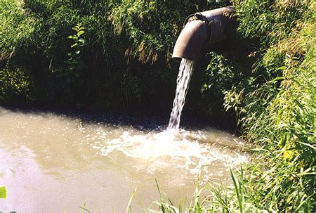 Необходимость борьбы с загрязнением водных ресурсов